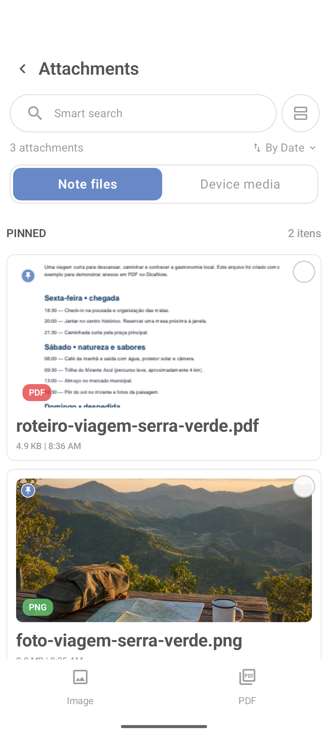 Nota do DicaNote com foto, PDF e arquivo de texto anexados